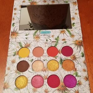 NEW LOWER PRICE! Velvet 59 Bloom Baby palette